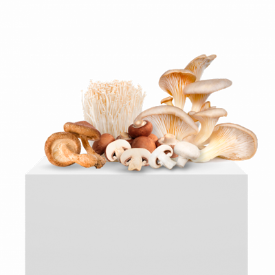image segment mushroom pequeno